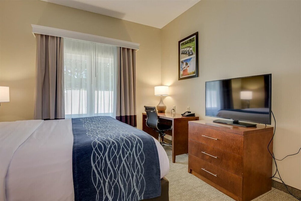 comfort inn and suites augusta fort eisenhower area