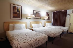 canadas best value inn and suites fernie