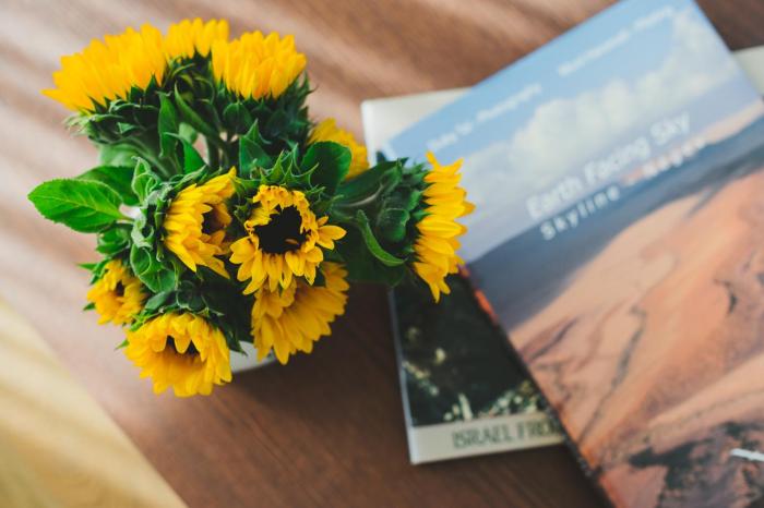 airtlv rambam residence