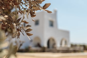 villa vaya