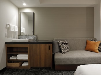 hotel forza hakataeki chikushi guchi ii