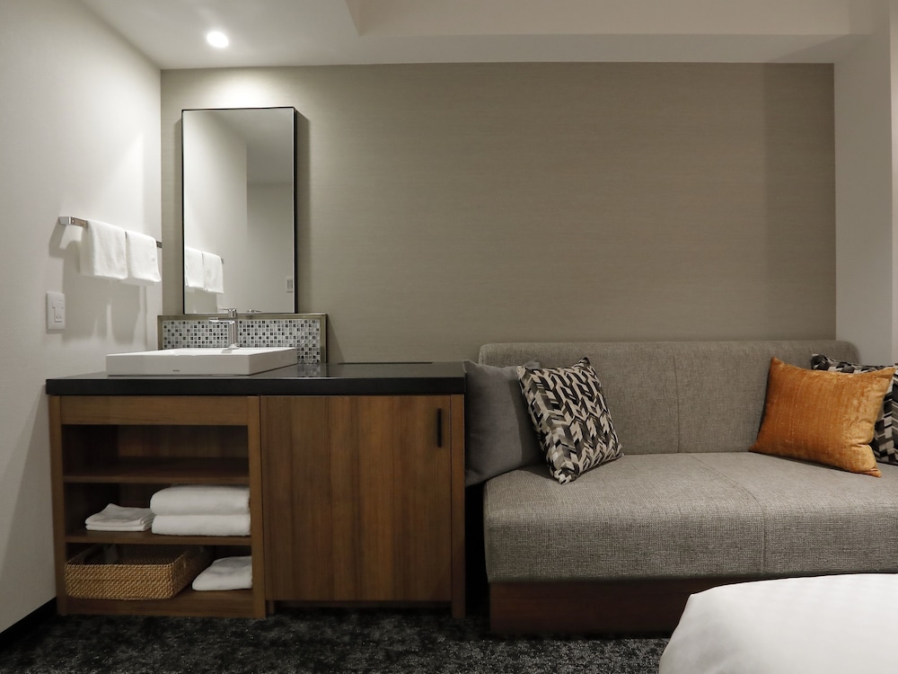 hotel forza hakataeki chikushi guchi ii