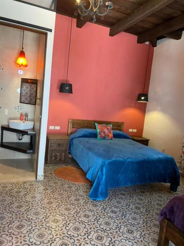 casa tequio