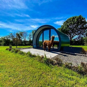 fair head glamping pods ballycastle