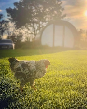 fair head glamping pods ballycastle