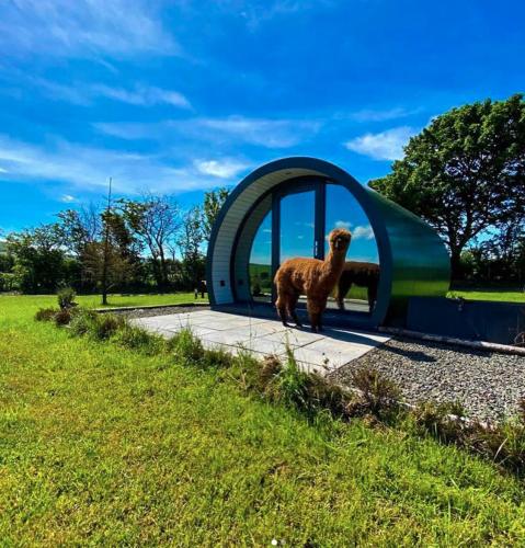 fair head glamping pods ballycastle