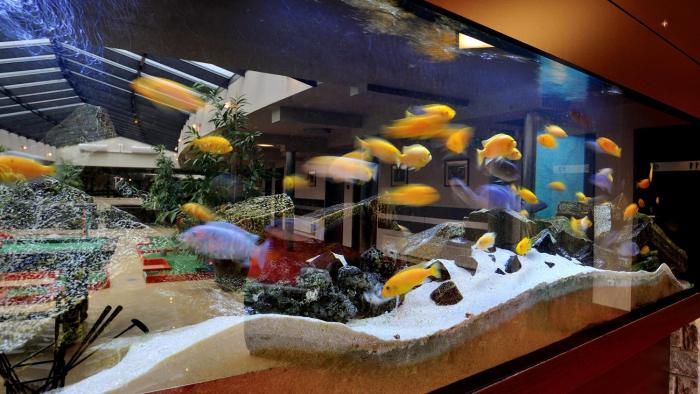 hotel diament spodek katowice