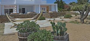 tinos