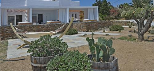 tinos