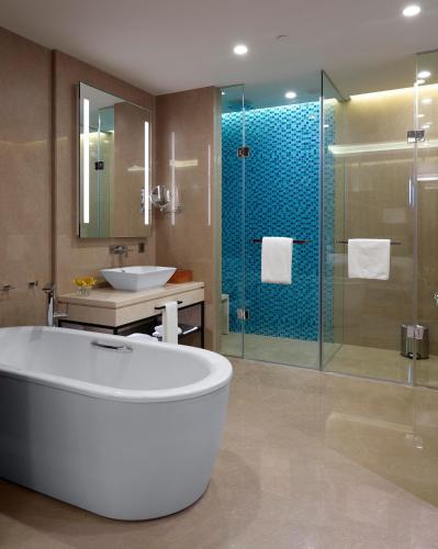 hyatt regency thrissur