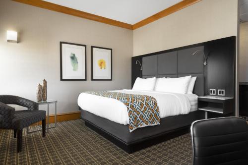 voco the tiger hotel columbia mo by ihg