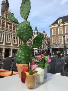 haarlem