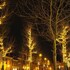 haarlem