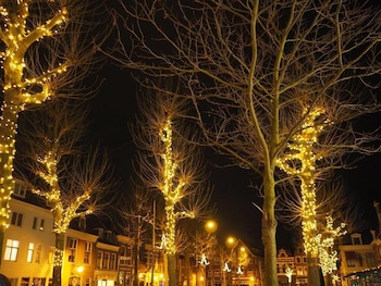 haarlem