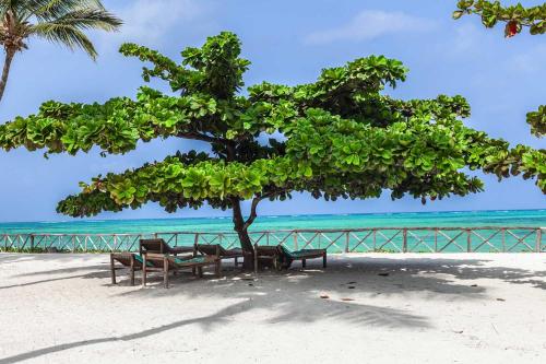 vrclub paje palms beach resort