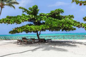 vrclub paje palms beach resort