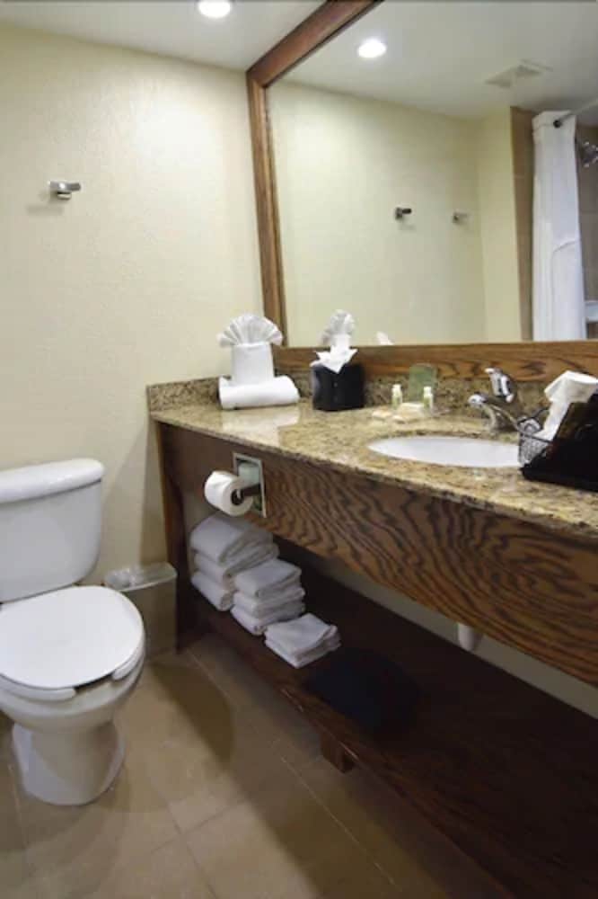 holiday inn fort myers downtown area by ihg