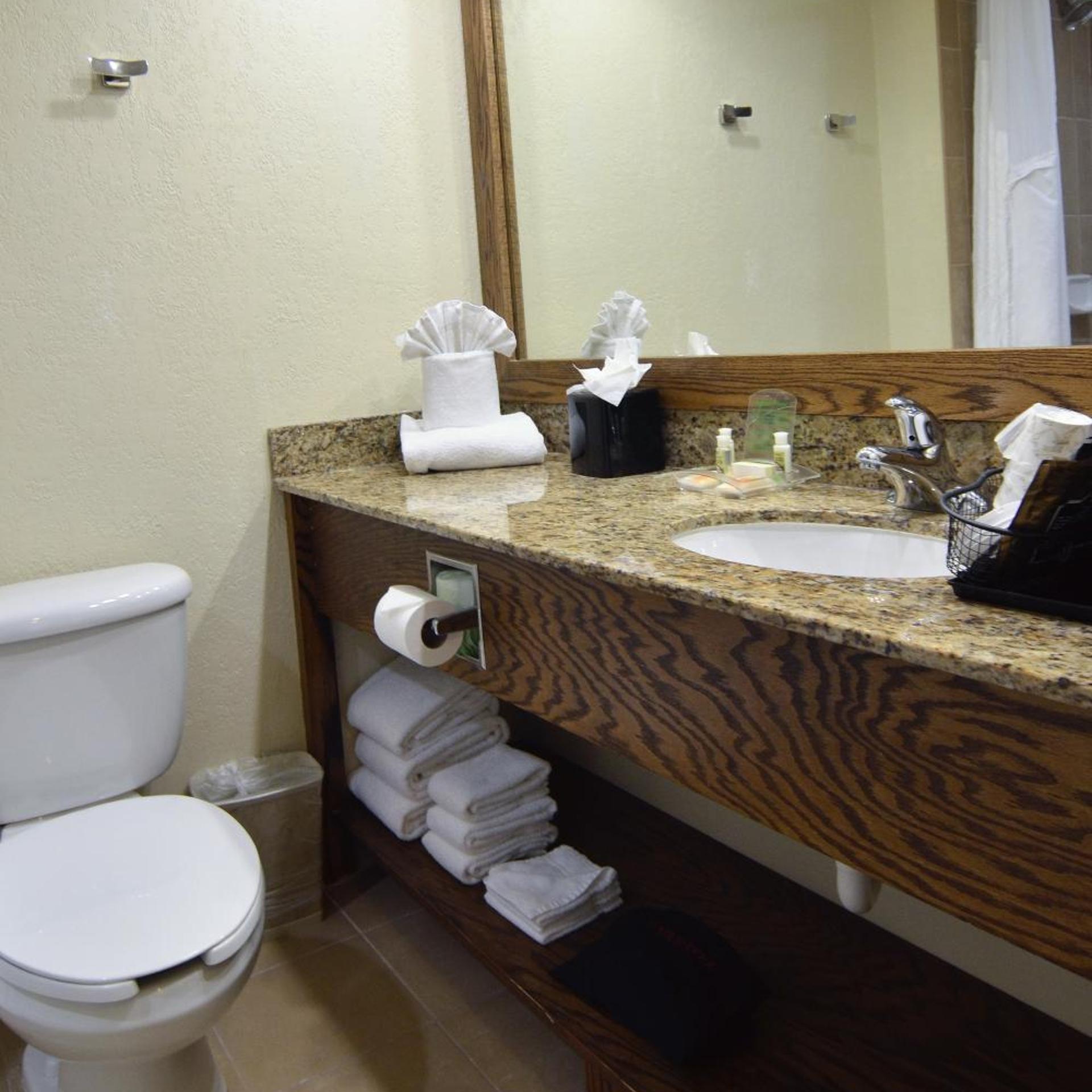 holiday inn fort myers downtown area by ihg