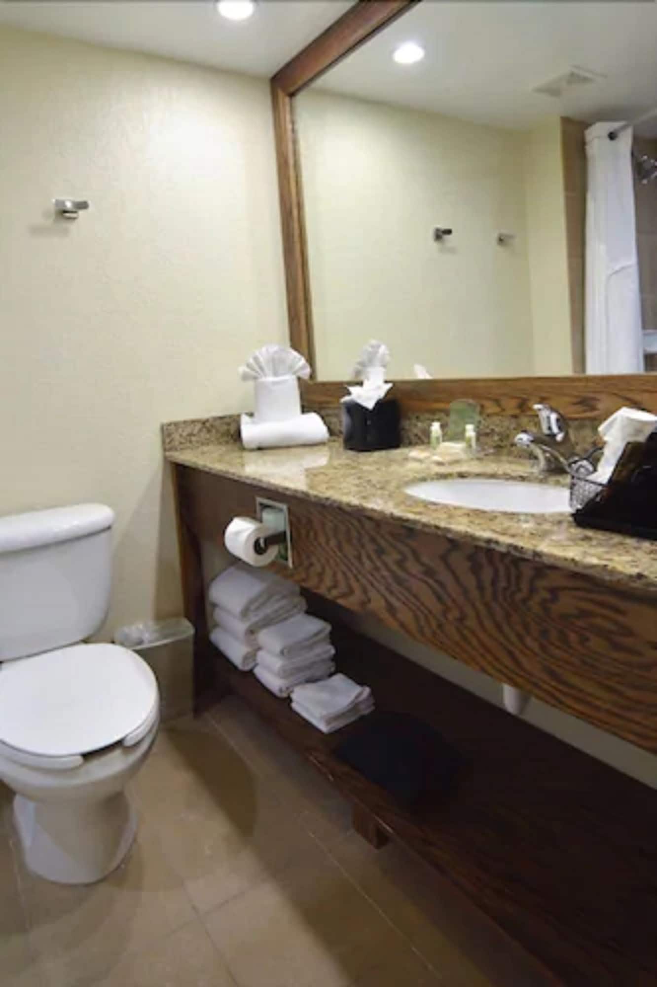 holiday inn fort myers downtown area by ihg