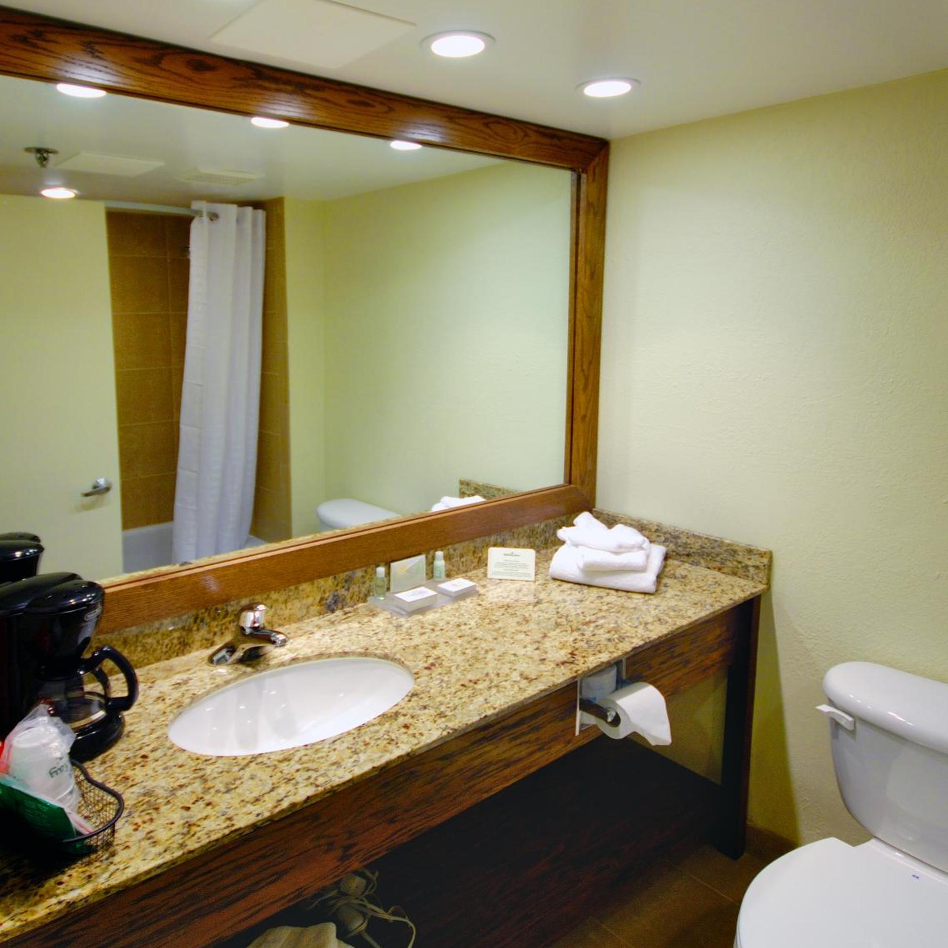 holiday inn fort myers downtown area by ihg