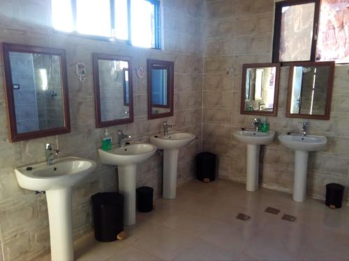 alamer hostel camp