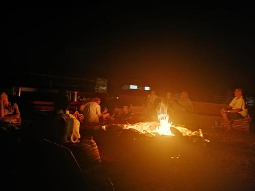 alamer hostel camp