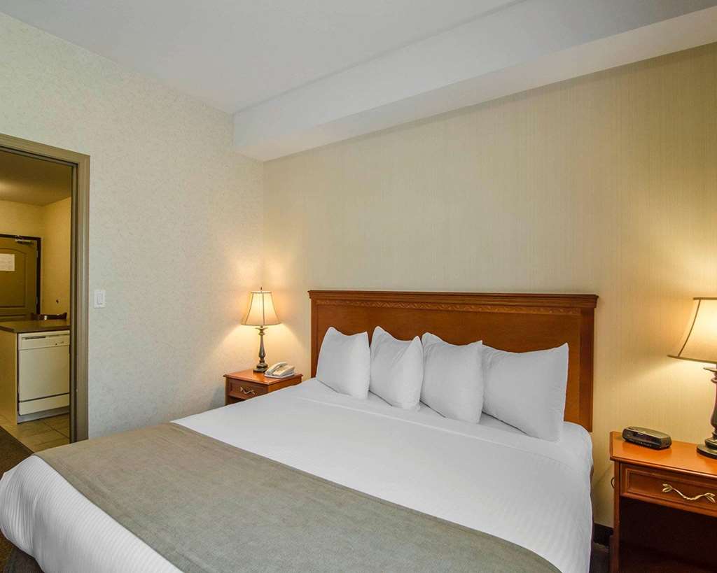 quality inn and suites