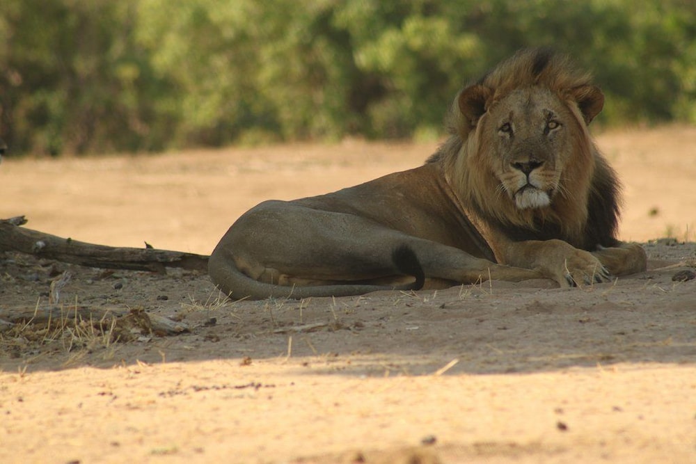 mwinilunga safaris
