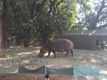 mwinilunga safaris
