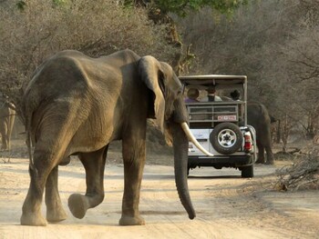 mwinilunga safaris