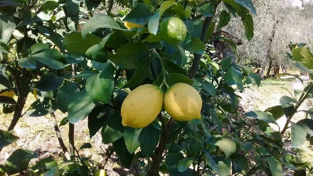 limone sul garda