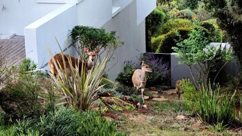 herolds bay