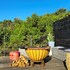 oubaai house by raw africa boutique collection
