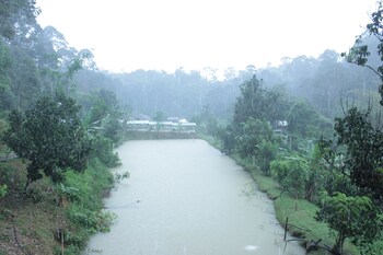 tokwans agro village