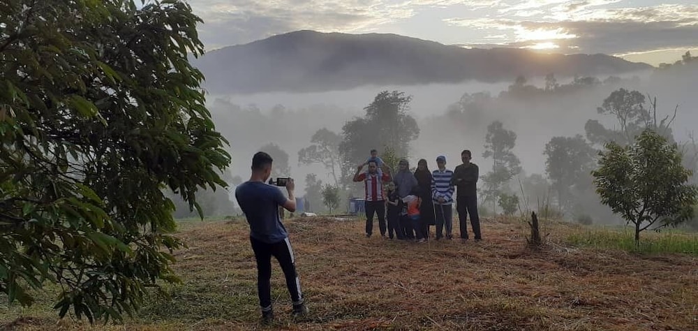 tokwans agro village