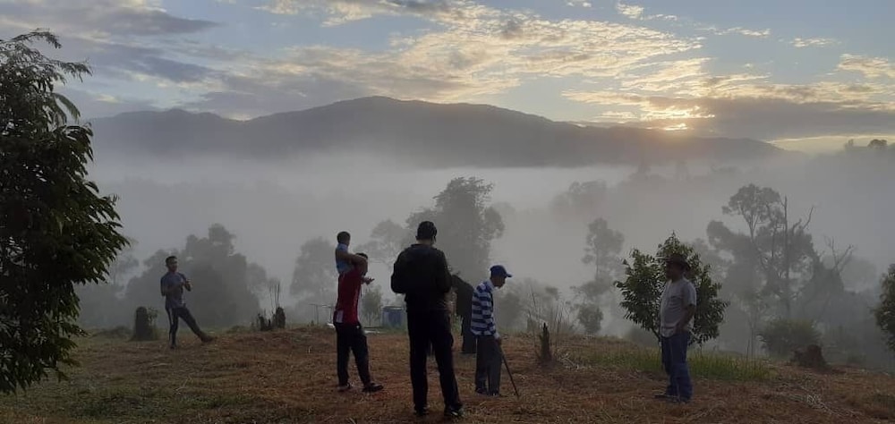 tokwans agro village