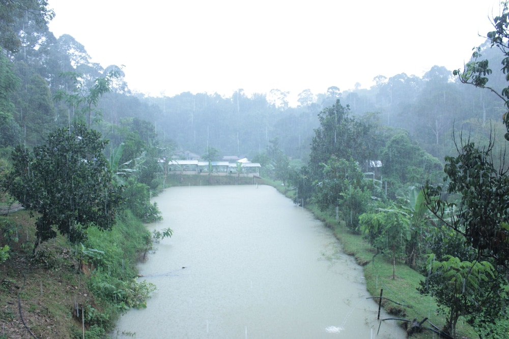 tokwans agro village