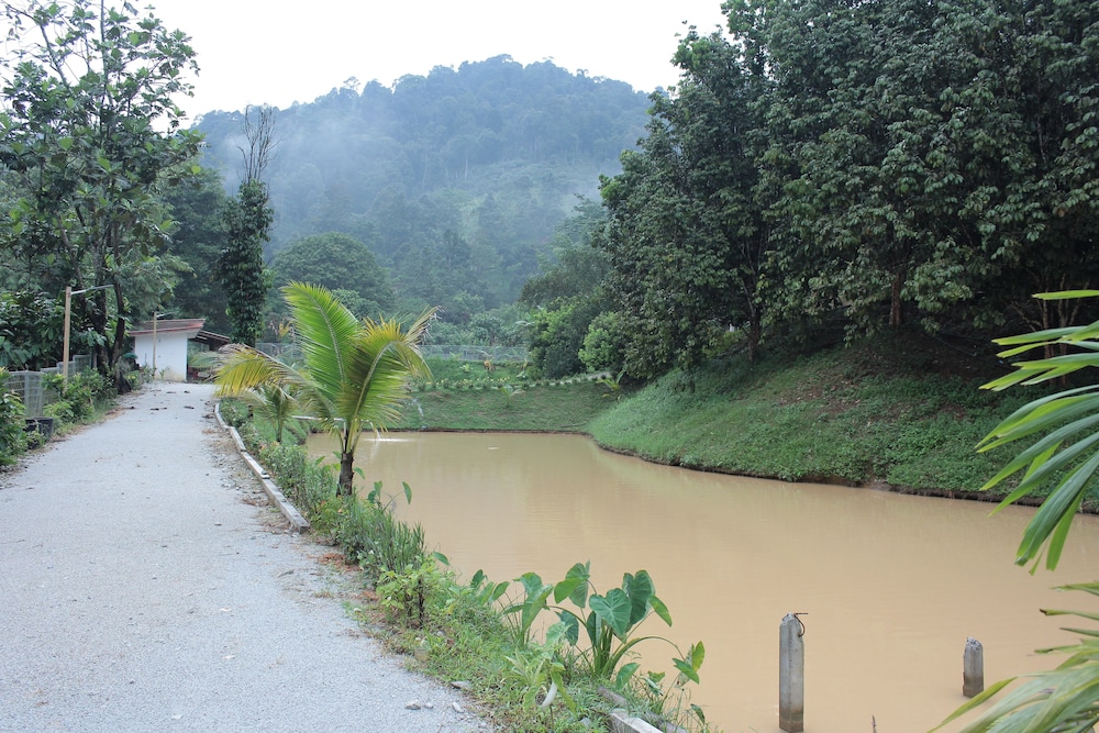tokwans agro village