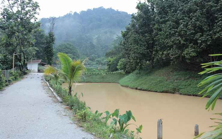 tokwans agro village