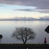 lakeside taupo