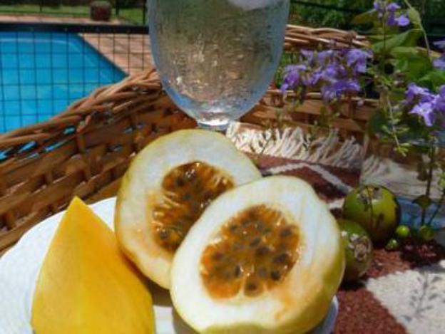 el descanso iguazu by dot cabana