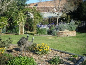 orana windmill motel
