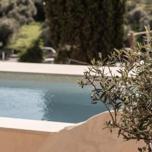 manili boutique suites and villas