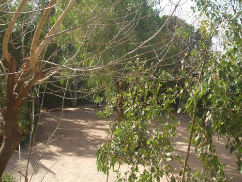 camping sukuta and lodge