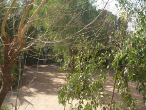 camping sukuta and lodge