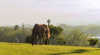 rancho eden