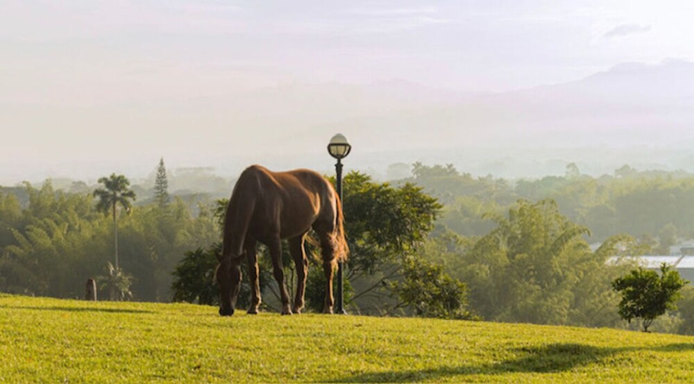 rancho eden