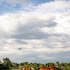 rancho eden
