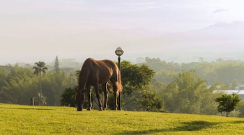 rancho eden