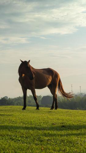 rancho eden